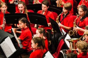 Read more about the article NSW Arts Unit State Wind Bands applications open